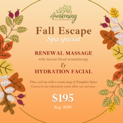 Spa Special Package banner