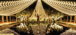 A thousand Candles at Brookgreen Gardens